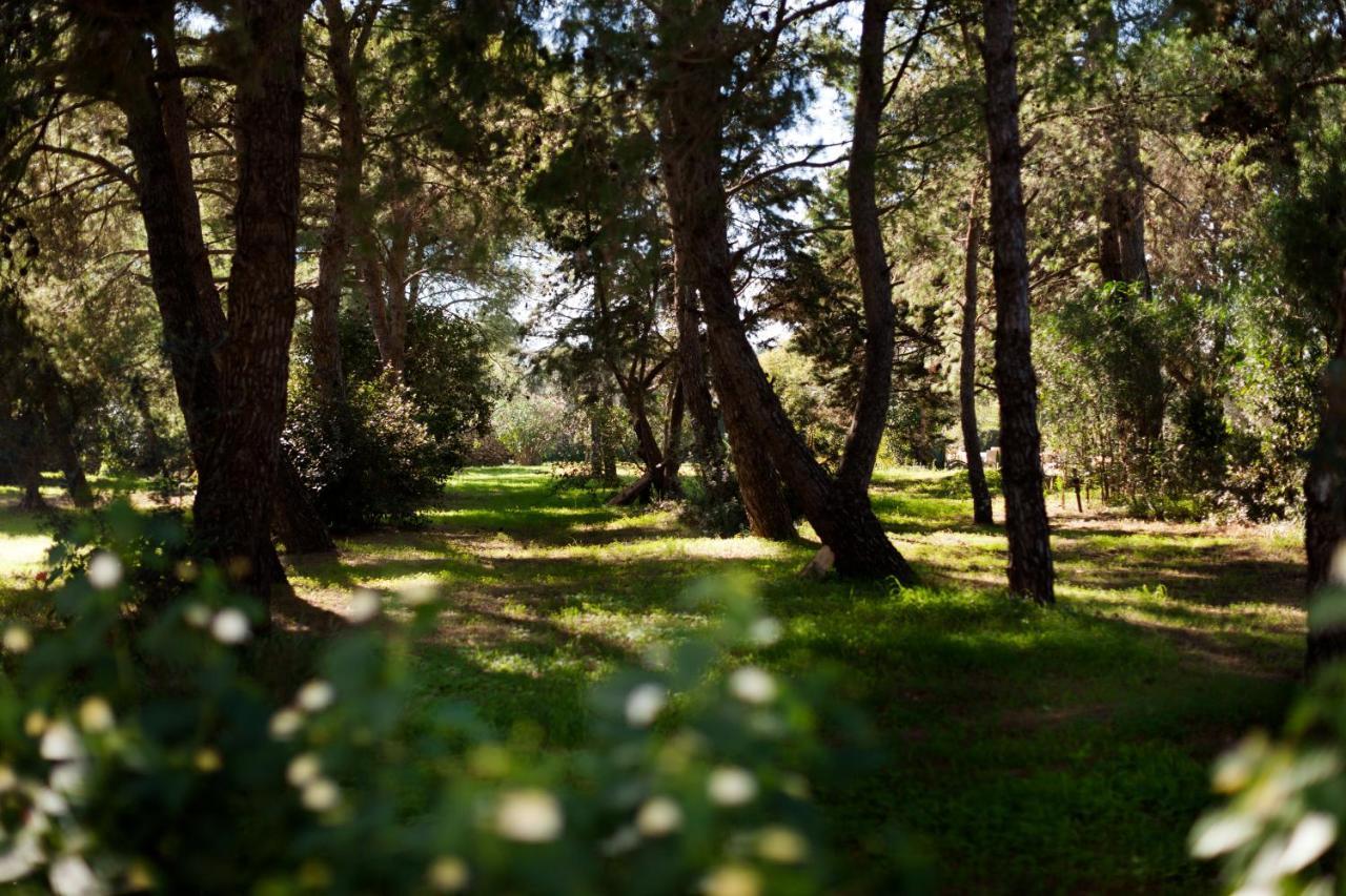 Masseria Borgo Mortella Лече Екстериор снимка