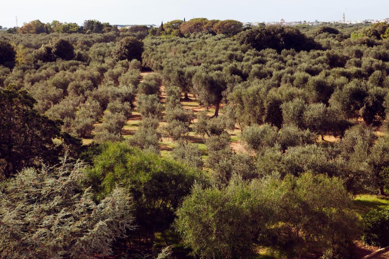 Masseria Borgo Mortella Лече Екстериор снимка